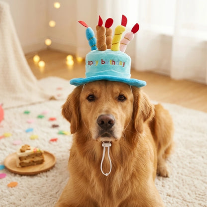 Pets Birthday Hat